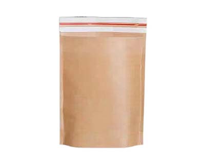 Kraft Document Bag