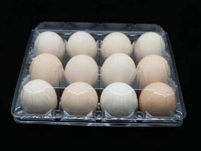 12 Plastic Egg Trays