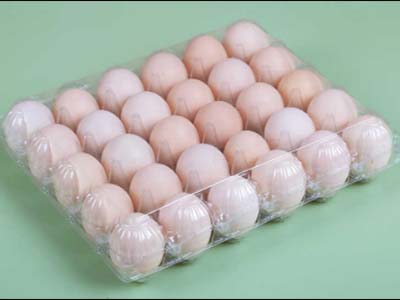 30 Plastic Egg Carton