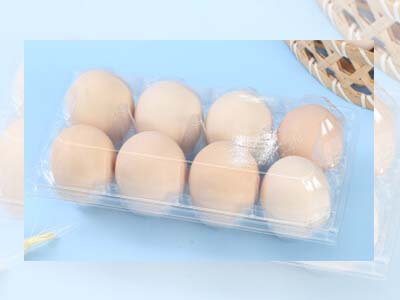 8 Plastic Egg Trays