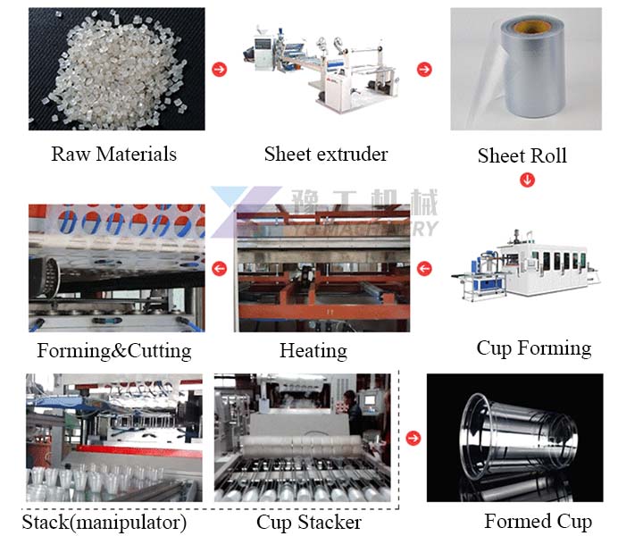 Plastic Cup Forming Process