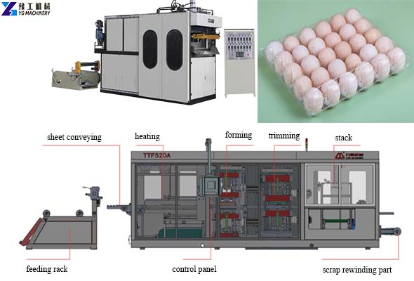 Plastic Egg Carton Making Machine Structure