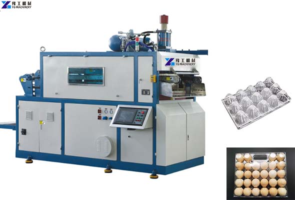 Egg Tray Machine - Click for Price Now