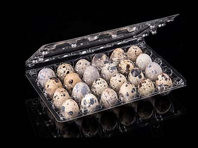 Quail Egg Box