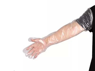 Long Sleeve Glove